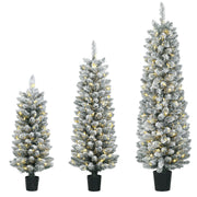 Set of 3 snow-flocked pre-lit Christmas trees in black pots on a white background