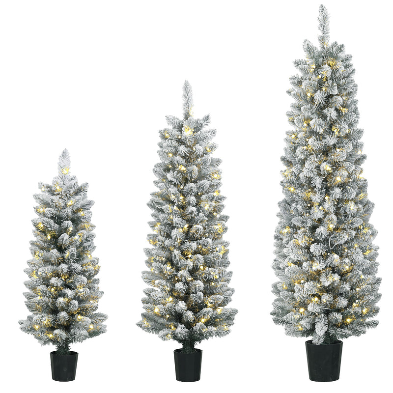 Set of 3 snow-flocked pre-lit Christmas trees in black pots on a white background