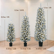 Height and diameter diagram showing 0.9 m, 1.2 m and 1.5 m trees