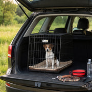 Jack Russell sitting in the crate in the boot of an estate car