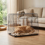 Golden retriever asleep in the crate on a living room floor beside a sofa