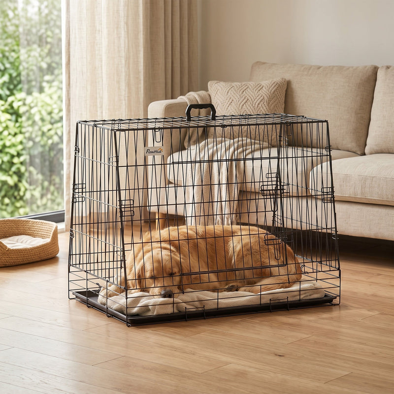 Golden retriever asleep in the crate on a living room floor beside a sofa