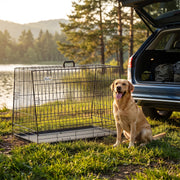 Labrador sitting on grass beside the crate with a car boot open by a lake
