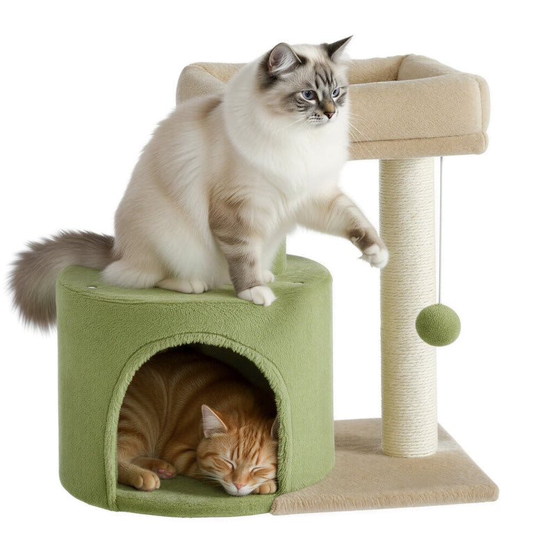 Long-haired cat standing on the top bed while a ginger cat sleeps inside the green condo
