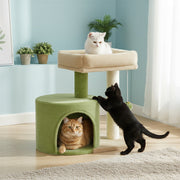 Black cat batting the hanging pompom ball while a ginger cat looks out of the green condo