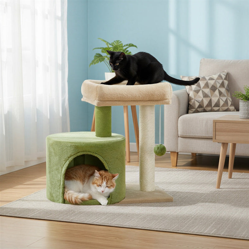 Green cat tree beside a sofa with a black cat on the top bed and a ginger cat in the condo