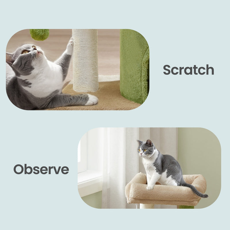 Feature panel showing a cat clawing the sisal post and another watching from the top bed