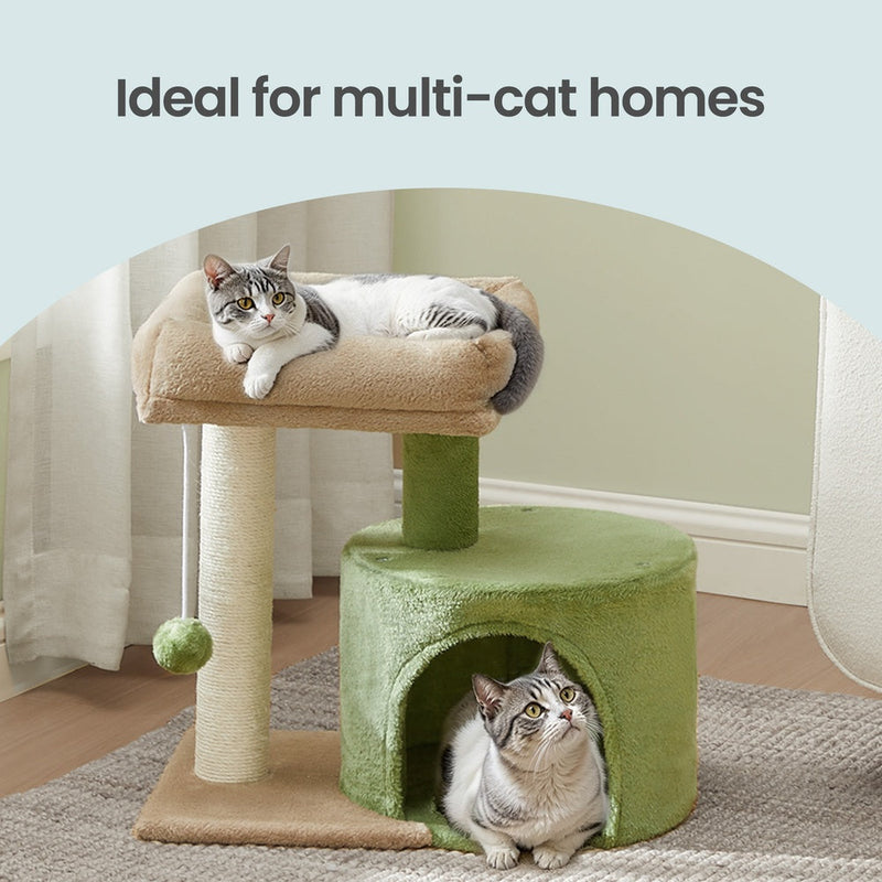 Two cats sharing the green cat tree on a rug, one on the top bed and one in the condo