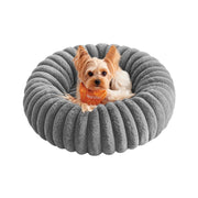 Feandrea small dog and cat bed in dove grey with a Yorkshire Terrier sitting inside on a white background