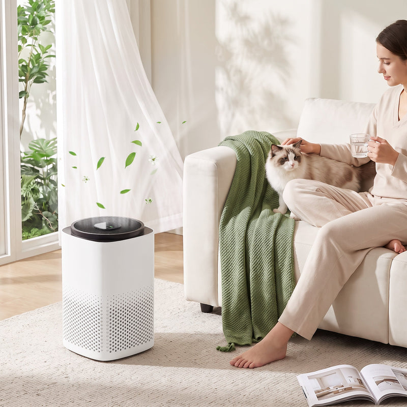 Air purifier on the floor of a bright living room beside a sofa with a woman and cat