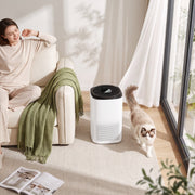 Air purifier in a bright living room beside a sofa with a cat walking past