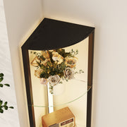 LED Floor Lamp With Shelves And Foot Switch For Living Room Or Bedroom, Black