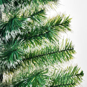 Close-up of green branch tips with white snow flocking