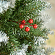 Close-up of a cluster of five red berries among snow-dipped green branches