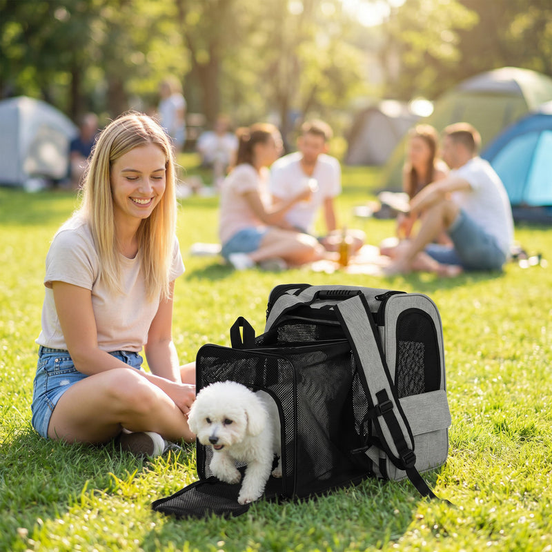 Backpack Pet Carrier with Expandable Space for Cats and Small Dogs Light Grey