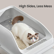 Cat digging in the litter tray, showing the high sides that contain scattered litter