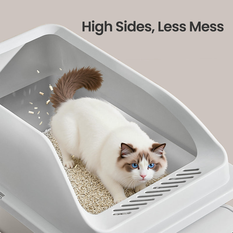 Cat digging in the litter tray, showing the high sides that contain scattered litter