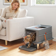 Cat stepping out of the litter tray beside a sofa at home