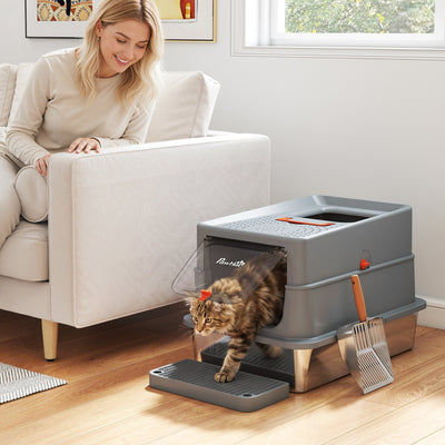 Cat stepping out of the litter tray beside a sofa at home