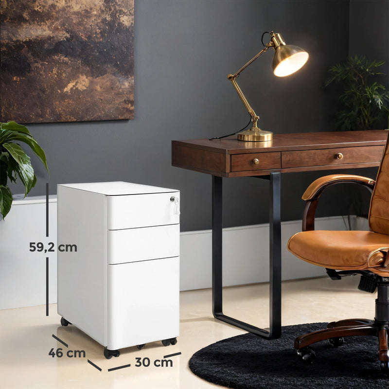 Labelled dimensions diagram showing the file cabinet is 30 x 46 x 59.2 cm in an office setting