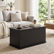 Black storage bench closed in a living room holding a cup, books and a small potted plant