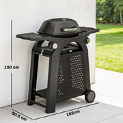 Portable 2-in-1 Gas Barbecue Trolley with 2 Burners for Flexible Outdoor Cooking, Black Outsunny