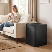 Woman eating ice cream on a sofa with the mini freezer beside her