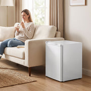Mini freezer beside a sofa in a bright living room