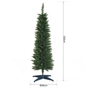 Dimensions diagram of the 5ft pencil tree showing 150 cm height and 46 cm base width