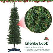 Green pencil tree with a close-up circle of natural branch tips and a lifelike look caption