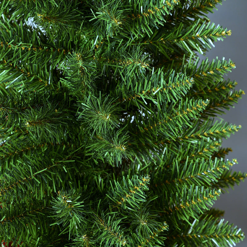Close-up of dense green branch tips