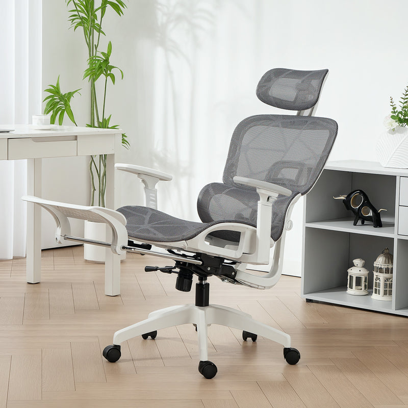 Ergonomic Mesh Office Chair With Adjustable Backrest And Lumbar Support, Grey and White