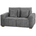 Grey velvet 2 seater sofa with two pillows and wooden legs, front view on white