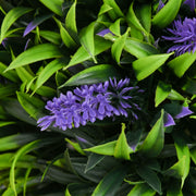 Set of 2 Artificial Lavender Topiary Trees with Pots for Indoor and Outdoor Use, Purple