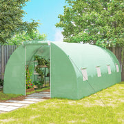 Open door of the green polytunnel showing shelves of plants and a stone path