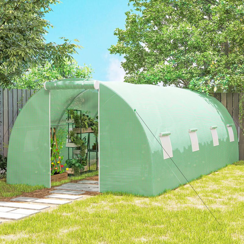 Open door of the green polytunnel showing shelves of plants and a stone path