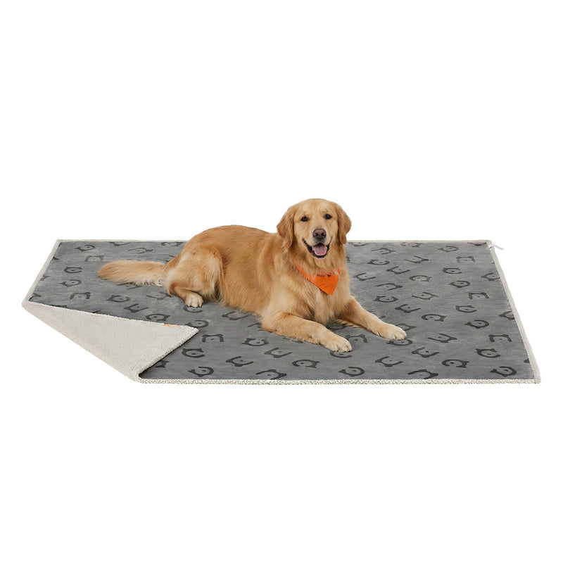 Golden retriever lying on the blanket spread flat with one corner turned back to show the sherpa side