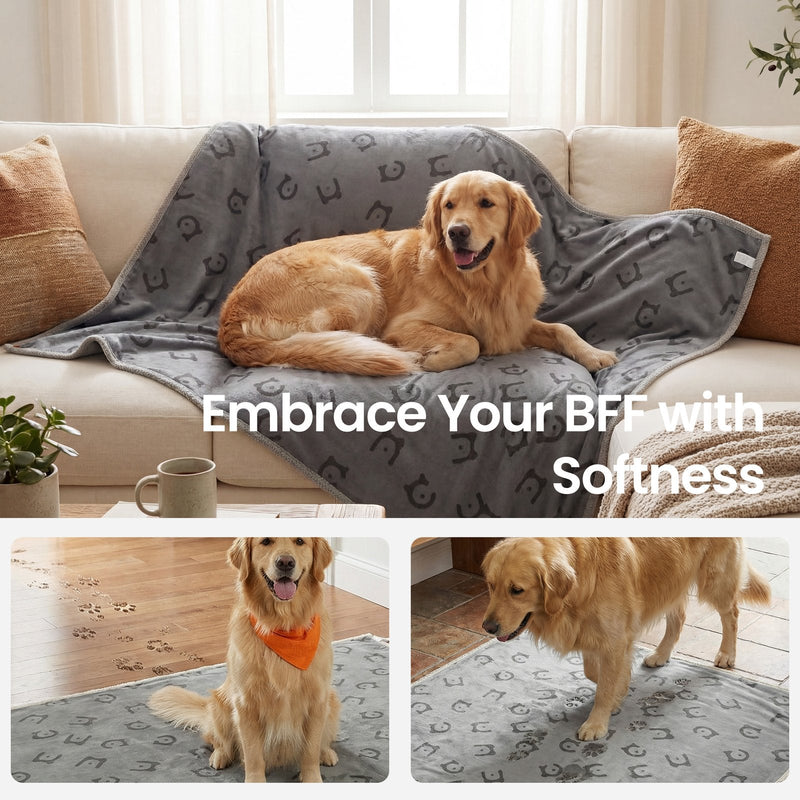 Blanket covering a beige sofa with a dog settled on it in a bright living room