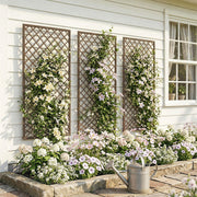 Three wicker trellis panels mounted on a cottage wall with clematis climbing across them