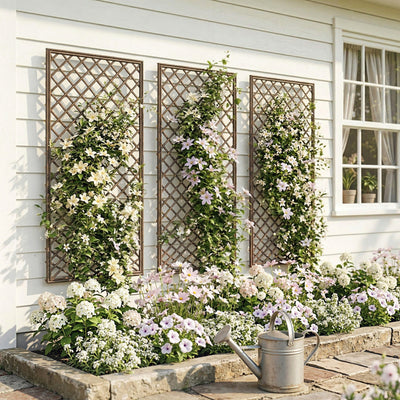 Three wicker trellis panels mounted on a cottage wall with clematis climbing across them