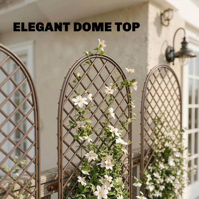 Close-up of the arched dome top of a trellis panel with white clematis flowers climbing