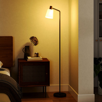 Modern Floor Lamp with Rotatable Head and Adjustable Colour Temperatures for Home, Black AOSOM