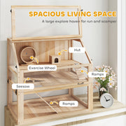 Infographic highlighting the hut, exercise wheel, seesaw and ramps