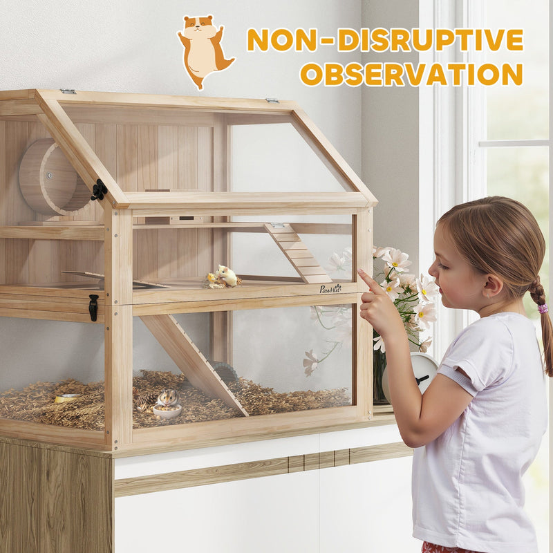 Girl observing hamsters through the cage's acrylic panels