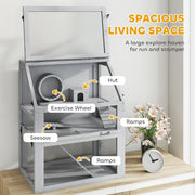 Infographic highlighting the hut, exercise wheel, seesaw and ramps on the light grey cage