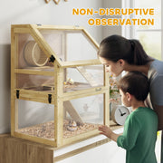 Woman and child observing hamsters through the natural cage's acrylic panels