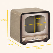 2 in 1 Cat Scratching House with TV Shape Design and Catnip for Indoor Use, Brown