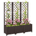 Brown Raised Garden Bed with Trellis and Drainage for Climbing Plants and Vegetables by Outsunny