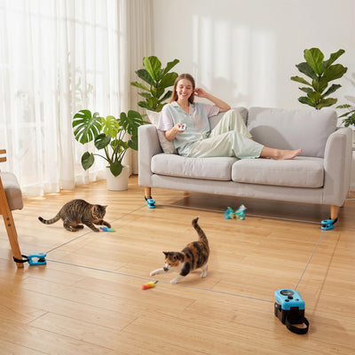 Automatic Cat Toy With Adjustable Track For Indoor Play And Furniture Protection Black Pawhut