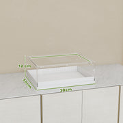 Acrylic Reptile Terrarium With Sliding Top Ventilated Lid for Snake or Gecko Clear AOSOM